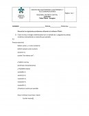 Actividad 2 - Ejercicos Pseudocodigo(Arreglos)