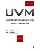 Fundamentos de merca Actividad final.