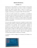 PROYECCIÓN SOCIAL INFORME N° 03