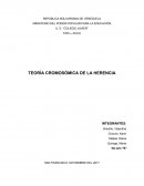 Como esta la Teoria cromosomica de la herencia