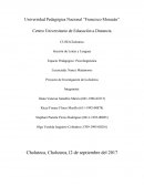 Proyecto de Investigación de la dislexia