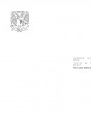 Psicofísica. E. H. Weber (1795-1878)