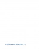 Análisis Pesta del Metro S.A