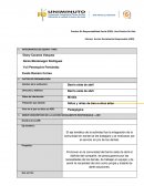 Practica En Responsabilidad Social (PRS): Una Práctica De Vida