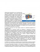 Transporte de membrana plasmatica