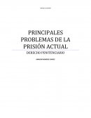 Cuales son los Principales problemas de las carceles en México