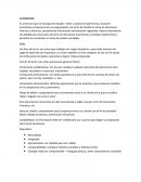 Como se da la Contabilidad conceptos básicos