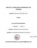 EJEMPLO DE PROYECTO DE CEAR UNA EMPRESA