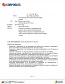 Supervisión y seguimiento a los Pedidos que de lugar la adjudicación de los Procesos de Contrataciones