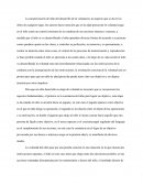 El desarrollo de la voluntad