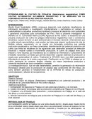POTENCIALIZAR EL CULTIVO DE PITAJAYA (Selenicereus megalanthus) COMO CULTIVO ALTERNATIVO ALTAMENTE PRODUCTIVO Y DE MERCADO EN LA COMUNIDAD NATIVA DE RIO SORITOR-AGUAJUN