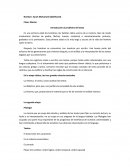 Introduction a la linguistica textual