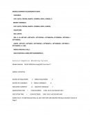 MODELO BINARIO EXCURSIONISTA (MIP)