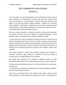 LOS SEIS SOMBREROS PARA PENSAR (ENSAYO)