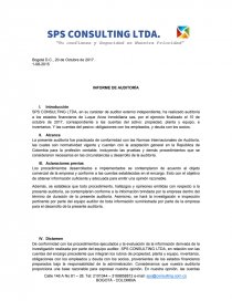 INFORME DE AUDITORÍA SPS CONSULTING LTDA. Página 1