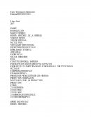 Caso Investigacion de Operaciones Empresa TRIUNFO E.I.R.L.