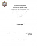 La Cruz Roja en los conflictos armados