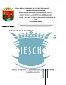 DE QUE MANERA DE MEJORAR LA SEGURIDAD SOCIAL EN CINTALAPA DE FIGUEROA CHIAPAS