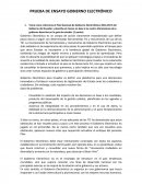 PRUEBA DE ENSAYO GOBIERNO ELECTRÓNICO