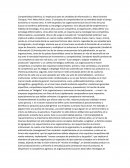 Competitividad sistematica Su implicancia para las Unidades de Información Lic. María Graciela Chueque