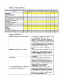 Perfil capacidad interna