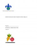 La importancia de la Educación Nutricional