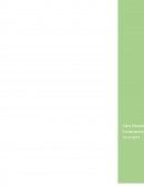 Marketing Pantene, Garnier Fructis y Deliplus (Mercadona)