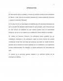 La condición jurídica de los extranjeros en México: Derechos, obligaciones y marco legal