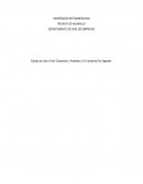 Cual es el Estudio de Caso: Enron Corporation y Andersen LLP la caída de Dos Gigantes.