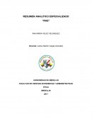 UN PEQUEÑO RESUMEN ANALÍTICO ESPECIALIZADO