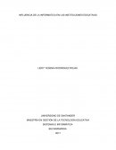 INFLUENCIA DE LA INFORMATICA EN LAS INSTITUCIONES EDUCATIVAS