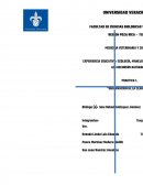 Desarrollo de la Identificacion de clorofila