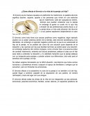 ¿Cómo afecta el divorcio a la vida de la pareja y al hijo?