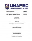 Metodología “LA TÉCNICA DE LA ENTREVISTA”