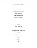 Desarrollo de los Colchones plumitas