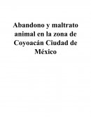 Ayuda a un amigo Abandono y maltrato animal en la zona de Coyoacán Ciudad de México