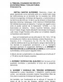 ENSAYO SOBRE EL AMPARO DIRECTO