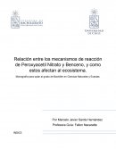 Relación entre los mecanismos de reacción de Peroxyacetil Nitrato y Benceno, y como estos afectan al ecosistema.