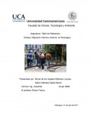 El gran Ensayo Migración Nicaragua