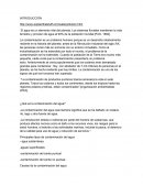 La contaminación es un problema humano porque es un desarrollo relativamente