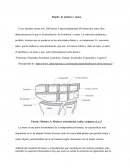 Región de muñeca y mano