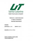 PROYECTO 2: ENSAYO REFLEXIVO