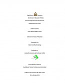 El nuevo Informe de práctica profecional