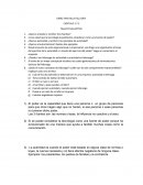 LIBRO: MAS ALLA DEL LIDER CAPITULO 1 Y 2