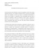 Ensayo sobre determinantes sociales de la salud