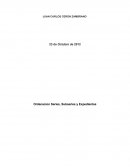 La nueva Ordenacion de series, subseries y Expedientes