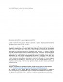 CUALES SON LAS CARACTERÍSTICAS DE LA CULTURA ORGANIZACIONAL