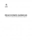 REACCIONES QUÍMICAS PRÁCTICO n°4 Laboratorio Química General y Orgánica