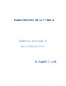 Un nuevo Entorno peri-natal y neurodesarrollo.