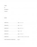 Trabajo de Investigación Comercial